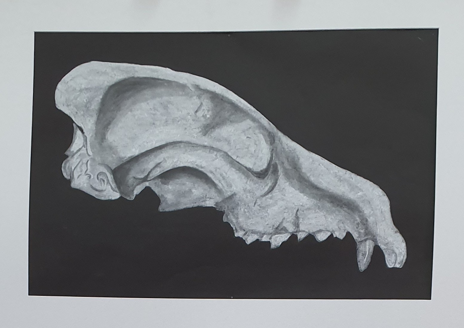 Kyle Letherby — Unintended Change, 1930s · Chalk drawing on black paper · 77 × 52 cm