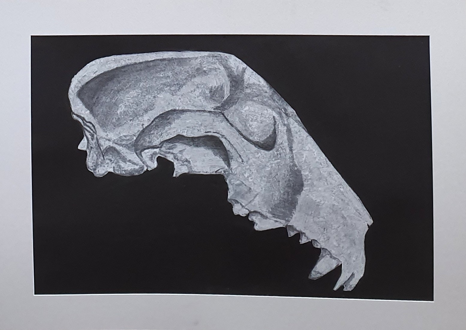 Kyle Letherby — Unintended Change, 1970s · Chalk drawing on black paper · 77 × 52 cm