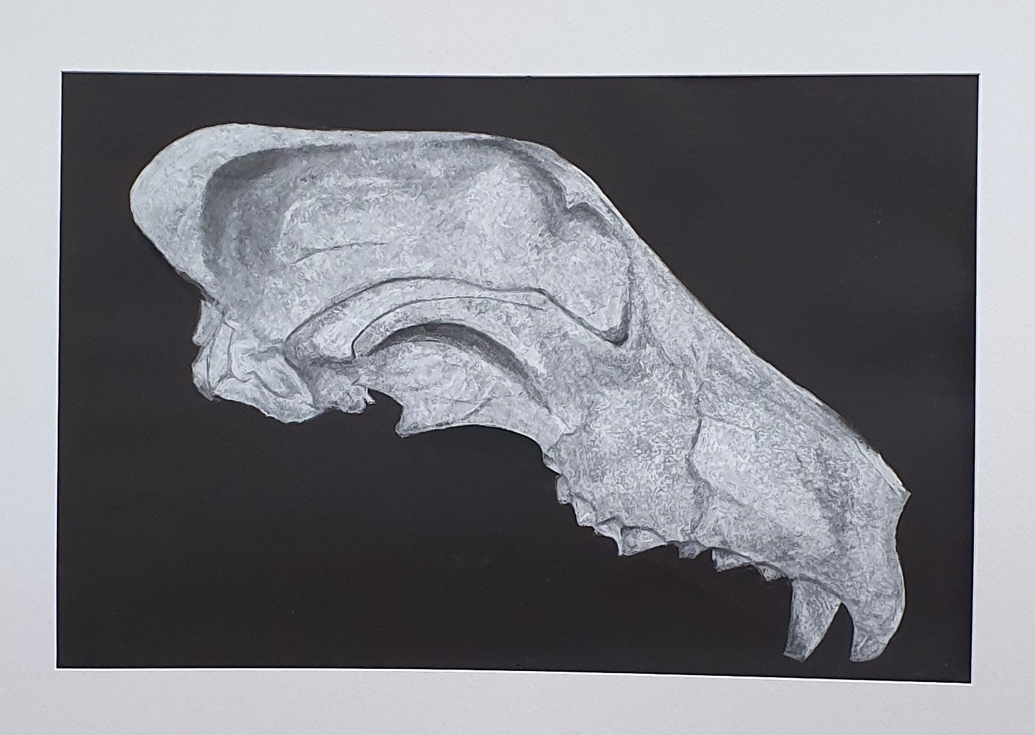 Kyle Letherby — Unintended Change, 1950s · Chalk drawing on black paper · 77 × 52 cm